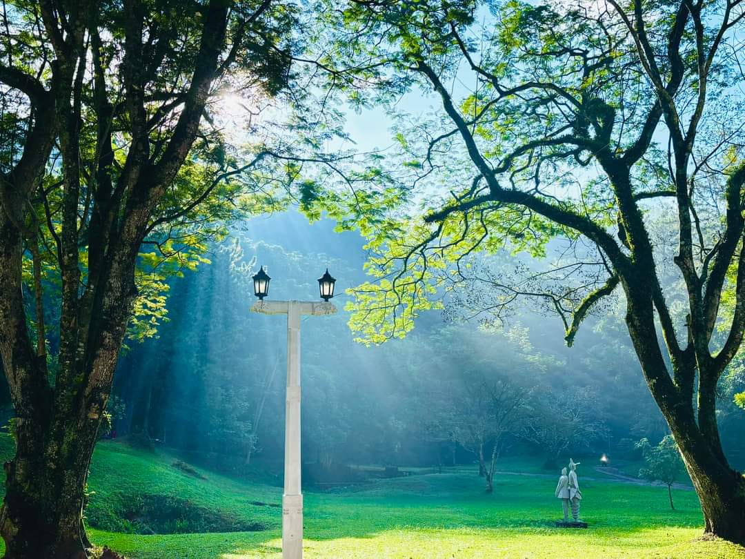 Image hover effect image