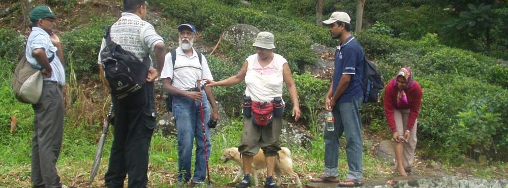 profshanthini