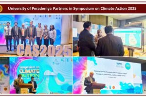 image-970×560 (25)-min