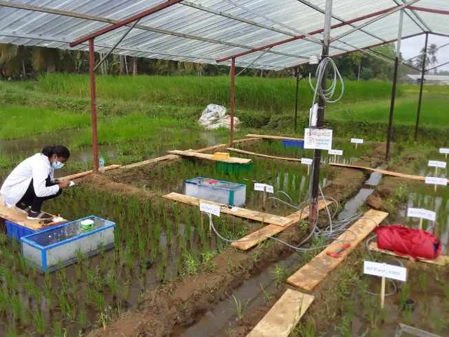 GREETINGS FROM SRI LANKA !