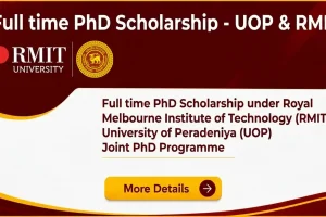 PhD _Scholarship_