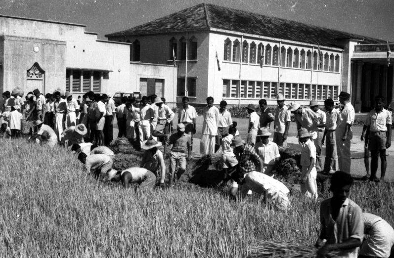 Faculty of Engineering in 70s FOE70s