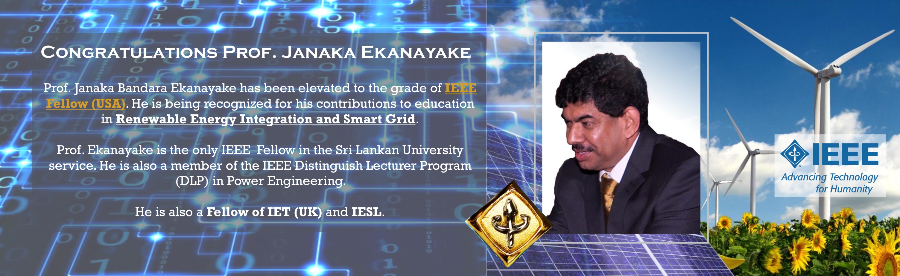 IEEE Fellow